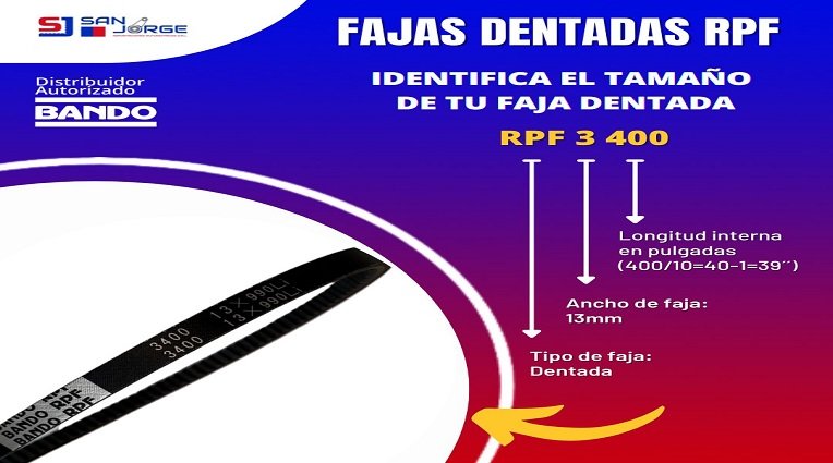 FAJAS DENTADAS -CARACTERÍSTICAS -ESTRUCTURA