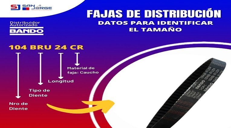 FAJAS DISTRIBUCION-ESTRUCTURA-BENEFICIOS